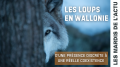 250121 mardis de l actu loup