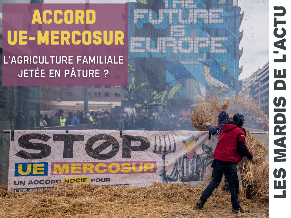 Accord ue mercosur